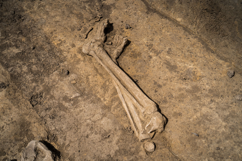 Novinky / Stavba košickej rýchlocesty napreduje: budujeme násypy, betónujeme piliere - foto  Novinky / Stavba košickej rýchlocesty napreduje: budujeme násypy, betónujeme piliere - foto