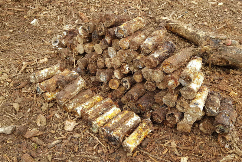 Novinky / Je za nami pyrotechnický prieskum - foto  Novinky / Je za nami pyrotechnický prieskum - foto