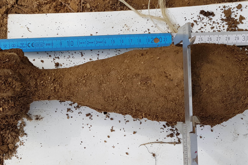 Novinky / Je za nami pyrotechnický prieskum - foto  Novinky / Je za nami pyrotechnický prieskum - foto